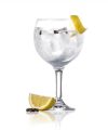 Copa Gin 60 cl